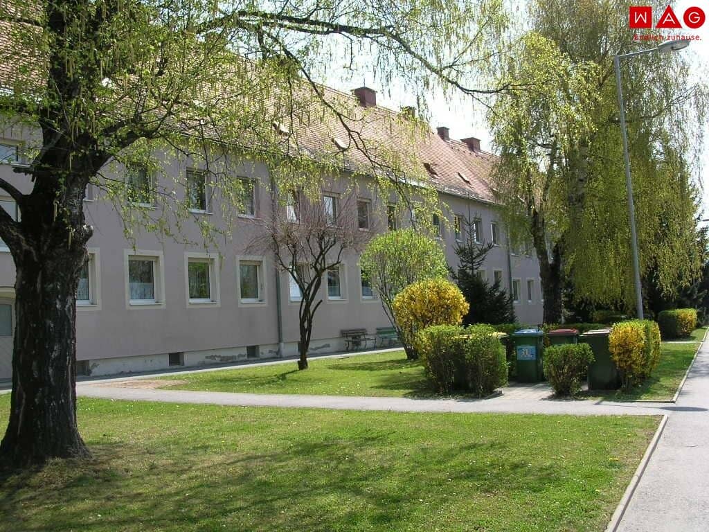 Super cheap 5-room apartment near the thermal spa with morning sun