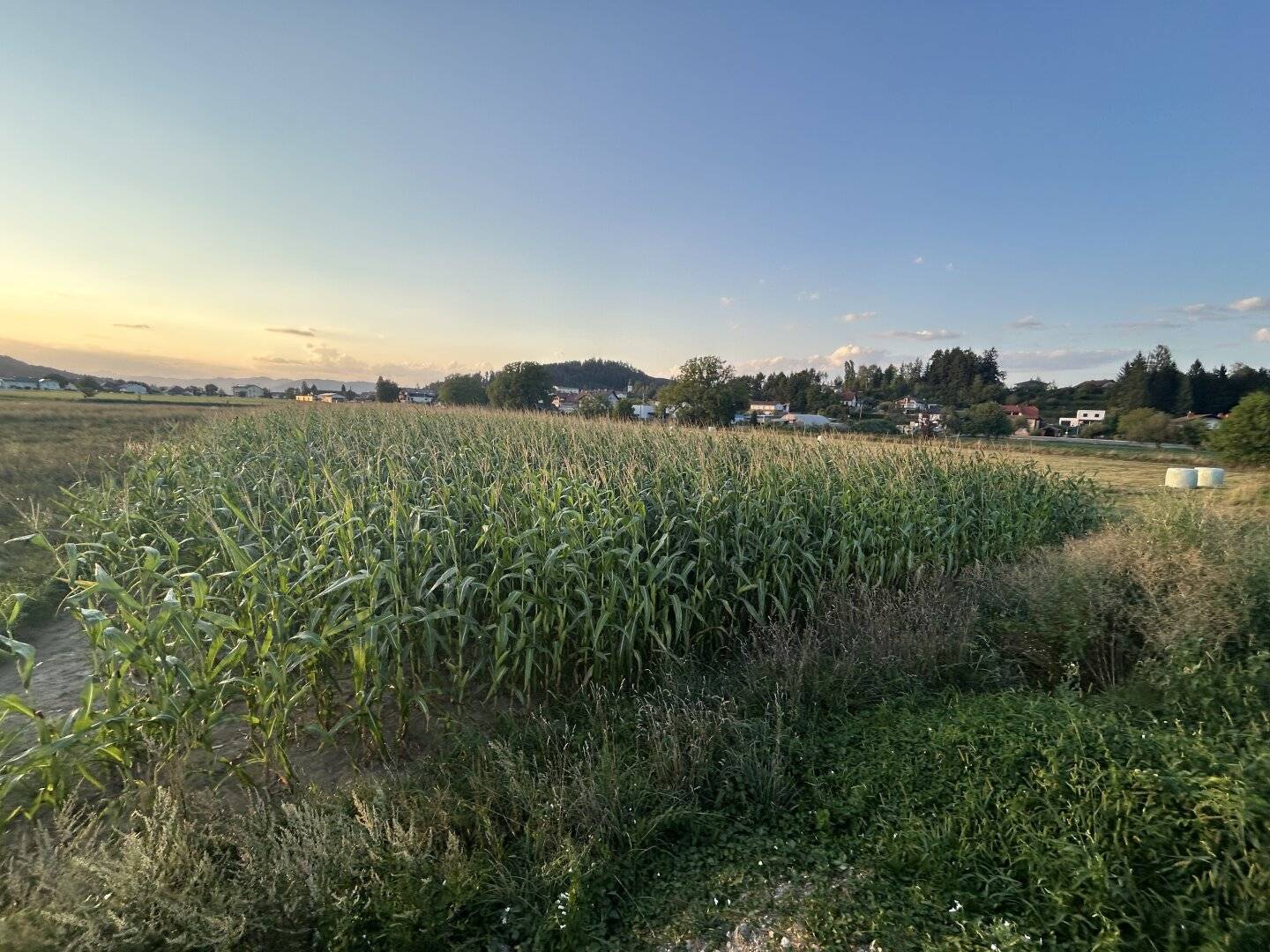 ebenes Ackergrundstück am Ortsrand von Eberndorf