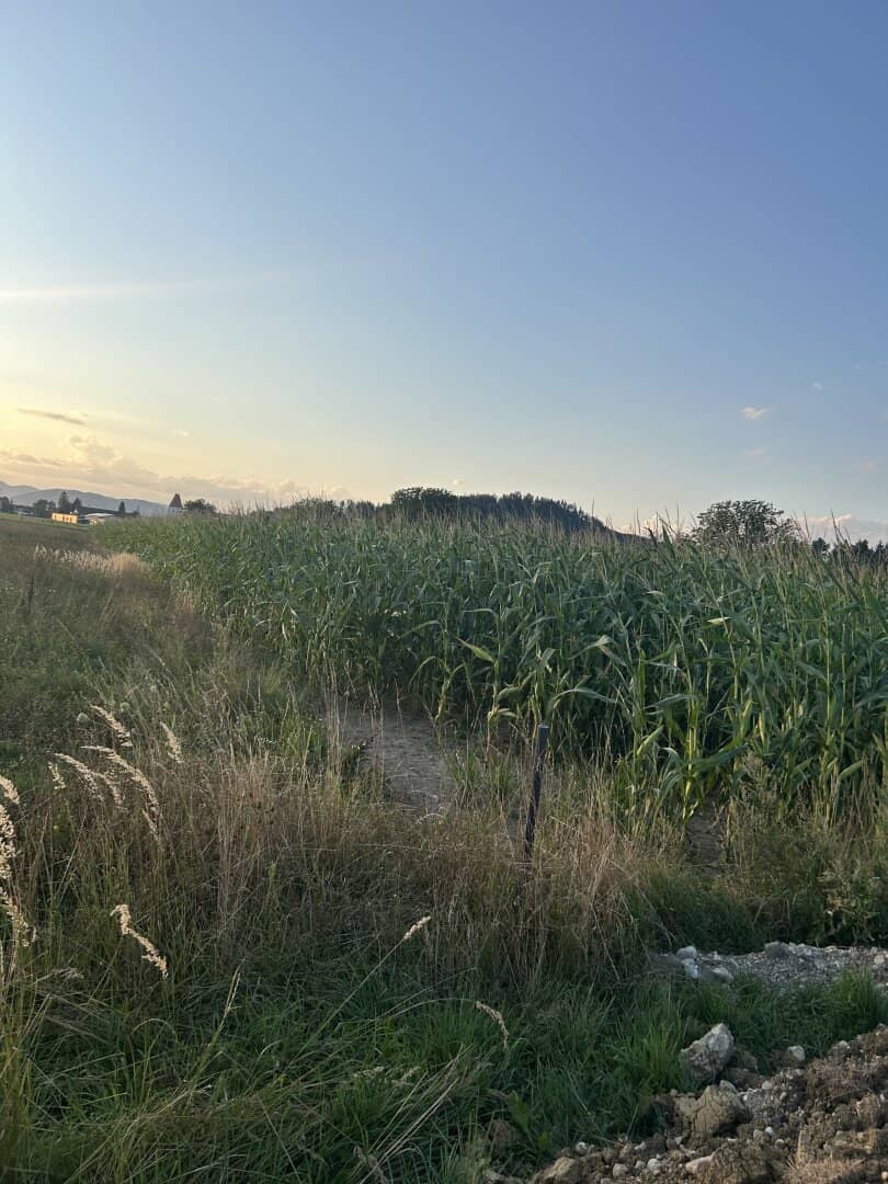 ebenes Ackergrundstück am Ortsrand von Eberndorf