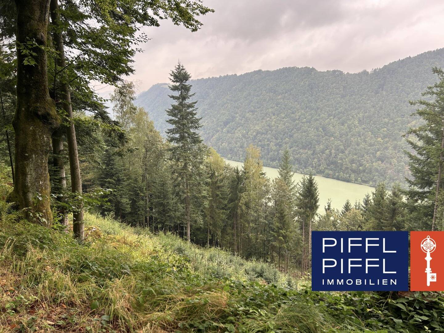 Wald in 4083 Haibach ob der Donau zu verkaufen!