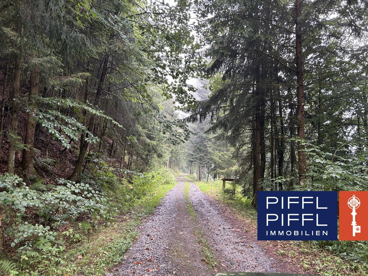 Wald in 4083 Haibach ob der Donau zu verkaufen!