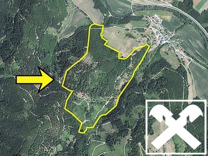 Arrondierter Waldbesitz ruhig gelegen Wohnung