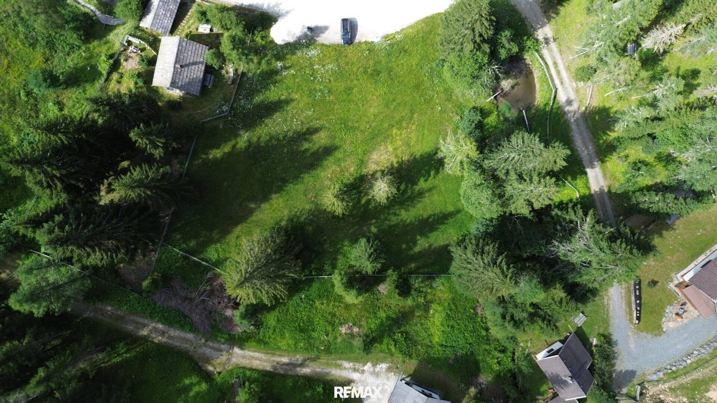 "Zwischen zwa Zirbenbam" - seltenes Almgrundstück mit Freizeitwohnsitzwidmung auf der Feldpannalm