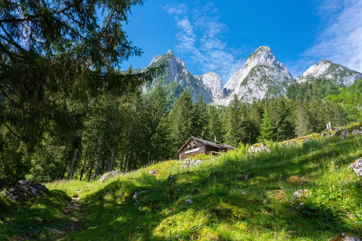 GOSAU LIVING – Ihre Ruheoase als (Zweit)Wohnsitz im Salzkammergut - Großzügiges Gartenwohnen mit Südterrasse