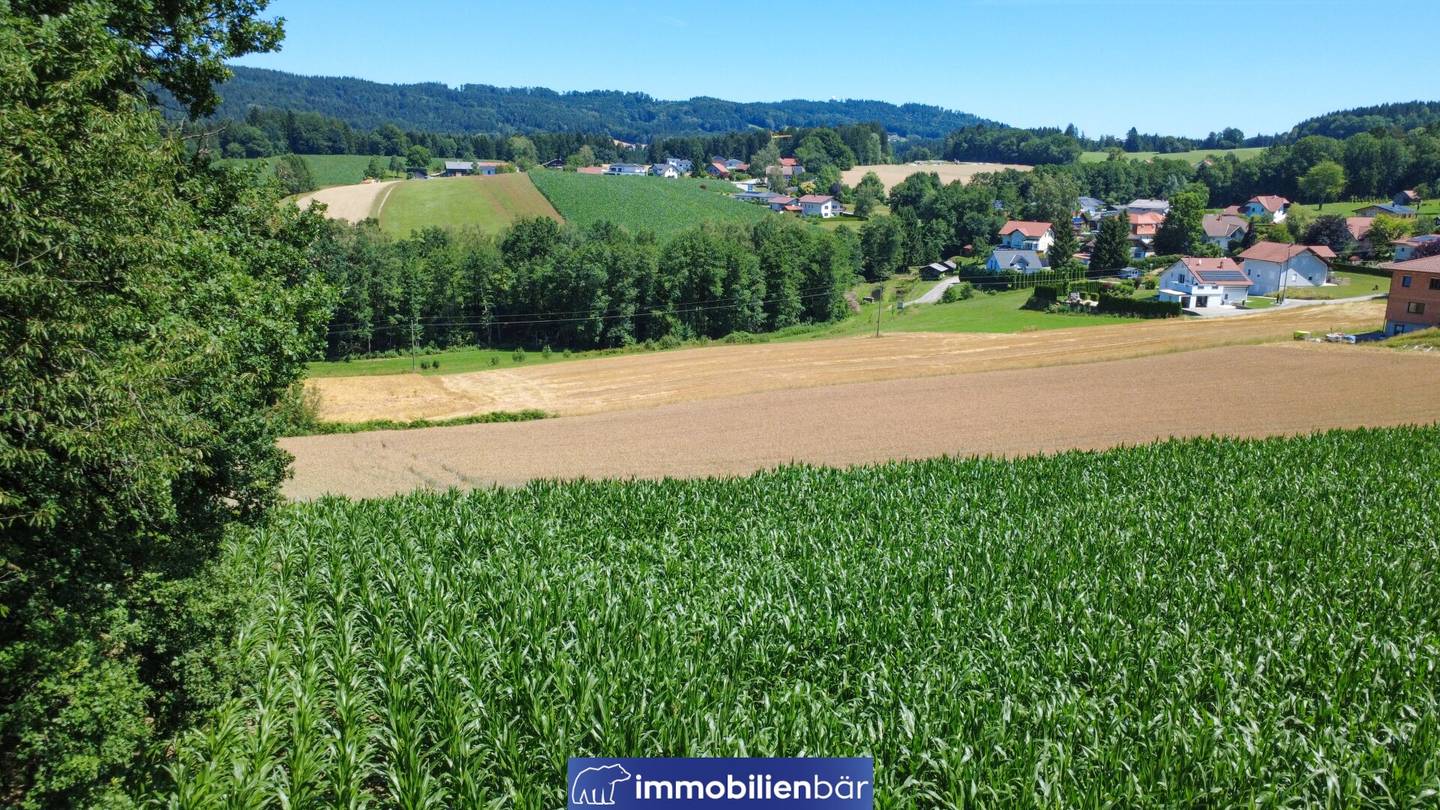 Attraktive Baugrundstücke in Kopfing - Grundstück 13