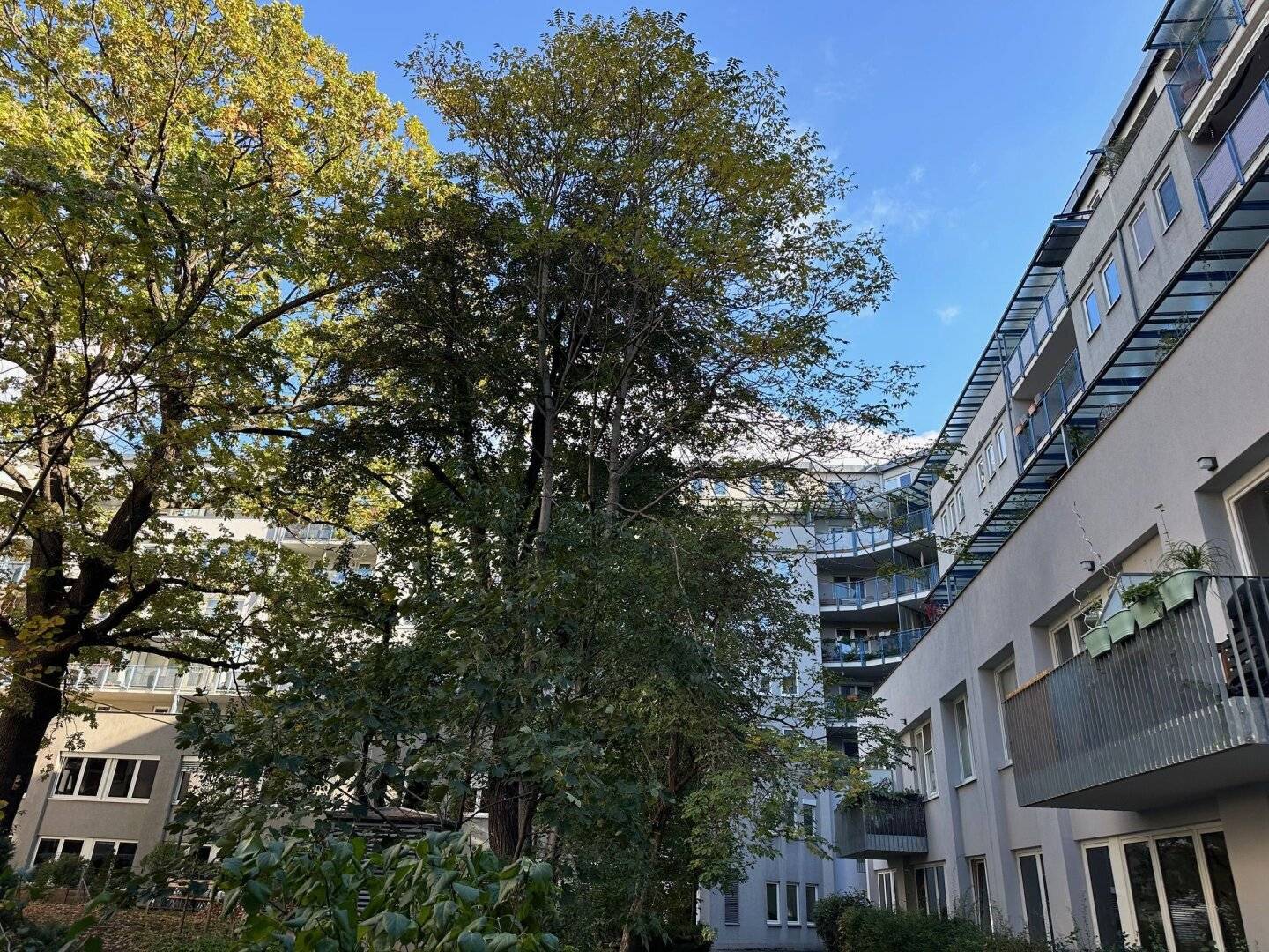 Immobilienbild 2