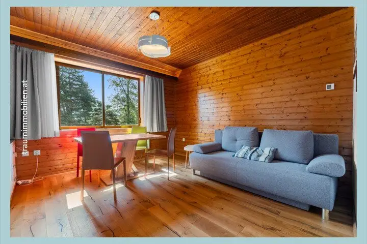 MY HOUSE IN THE MOUNTAINS