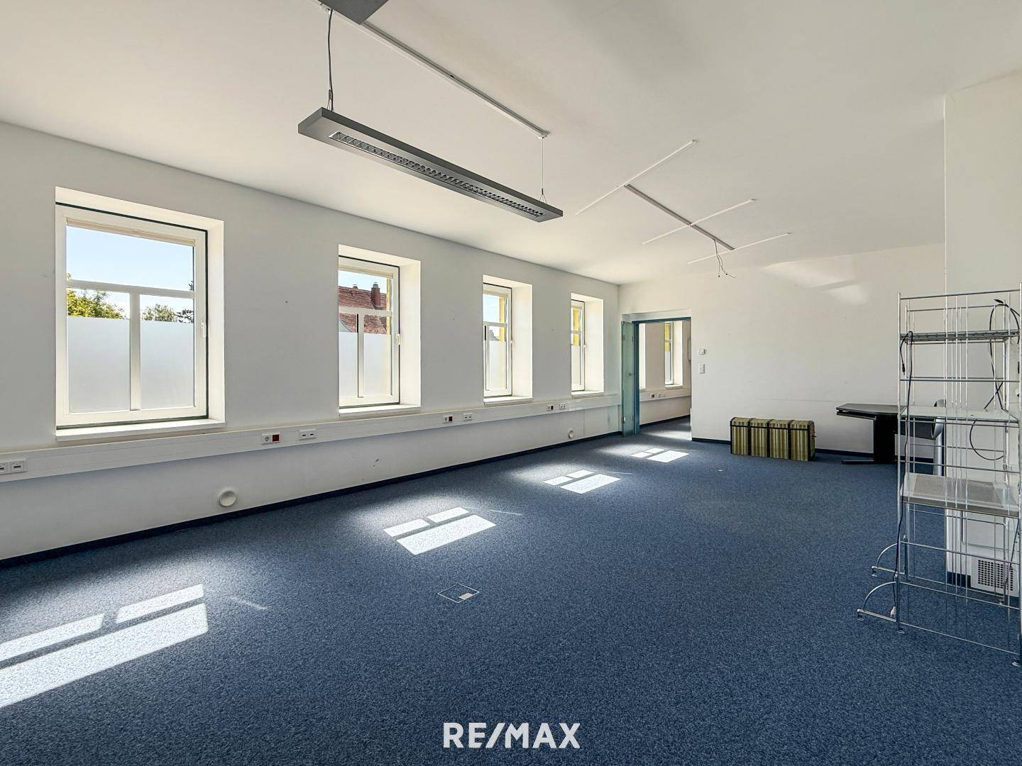 Versatile apartment with garden and sauna and garages