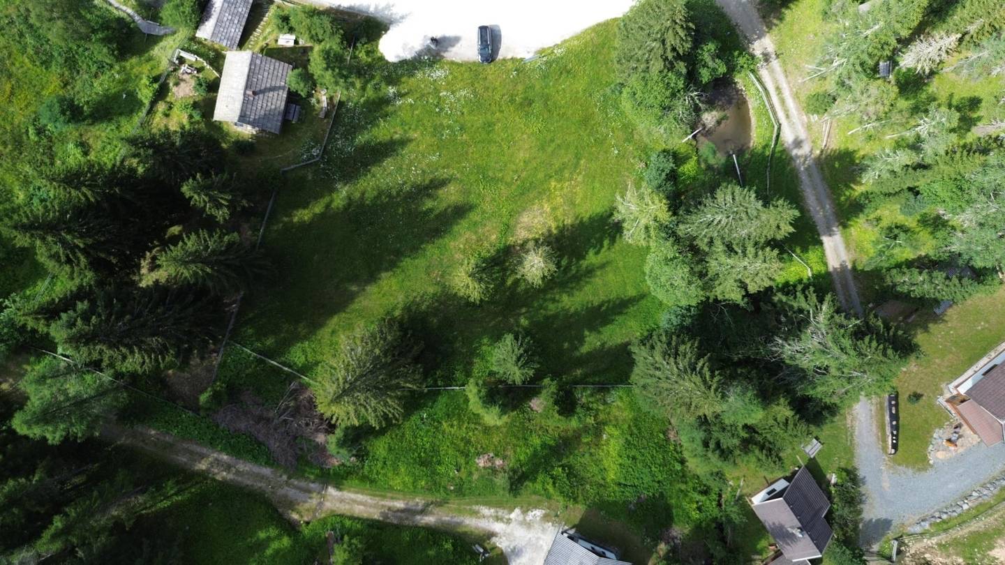 Ferienwohnung auf der Feldpannalm mit Freizeitwohnsitzwidmung