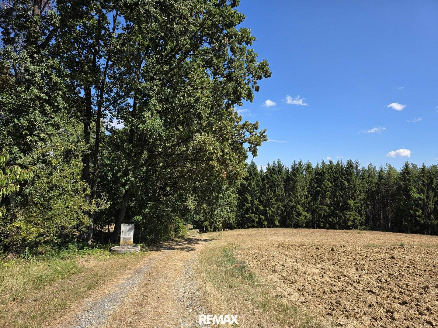 Waldgrundstücke in Deutsch Kaltenbrunn