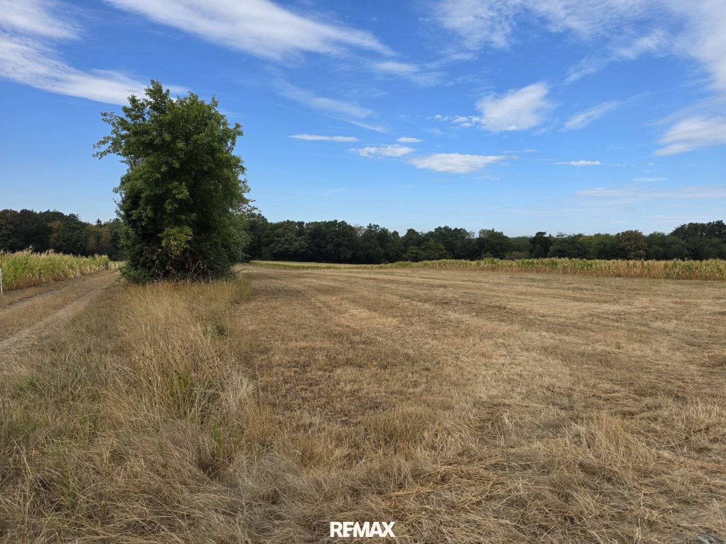 Landwirtschaftliche Grundstücke in Neuberg
