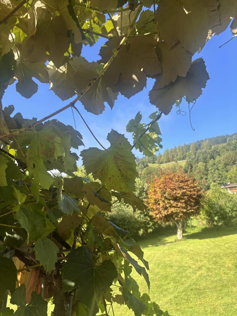 Gepflegte Erdgeschosswohnung mit Privatgarten und Terrasse