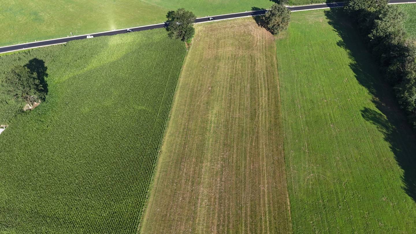 Großzügige landwirtschaftliche Nutzfläche in Langkampfen – ca. 1,72 ha