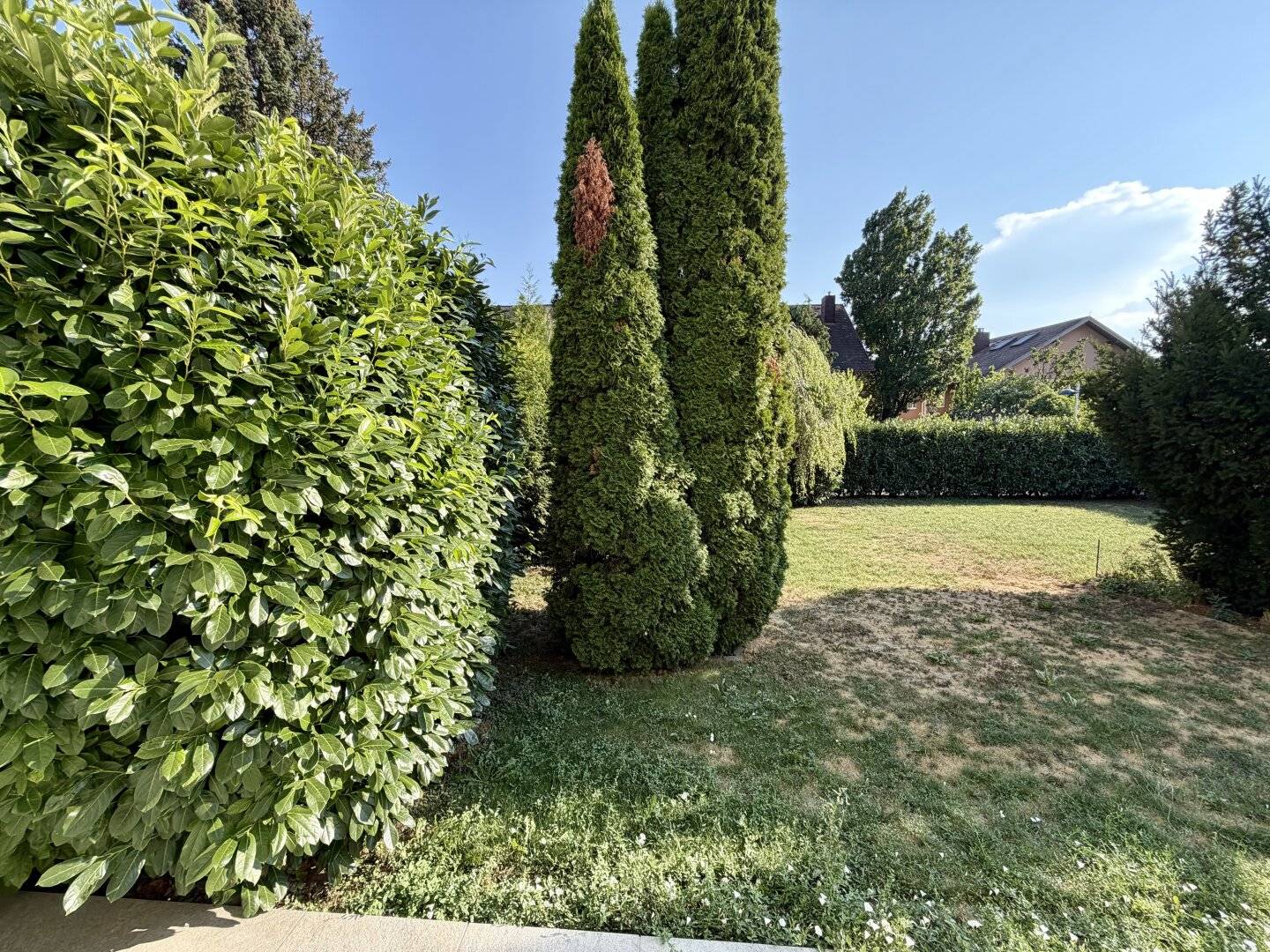 Renovated 1-room garden apartment in quiet green location 105 m² private garden