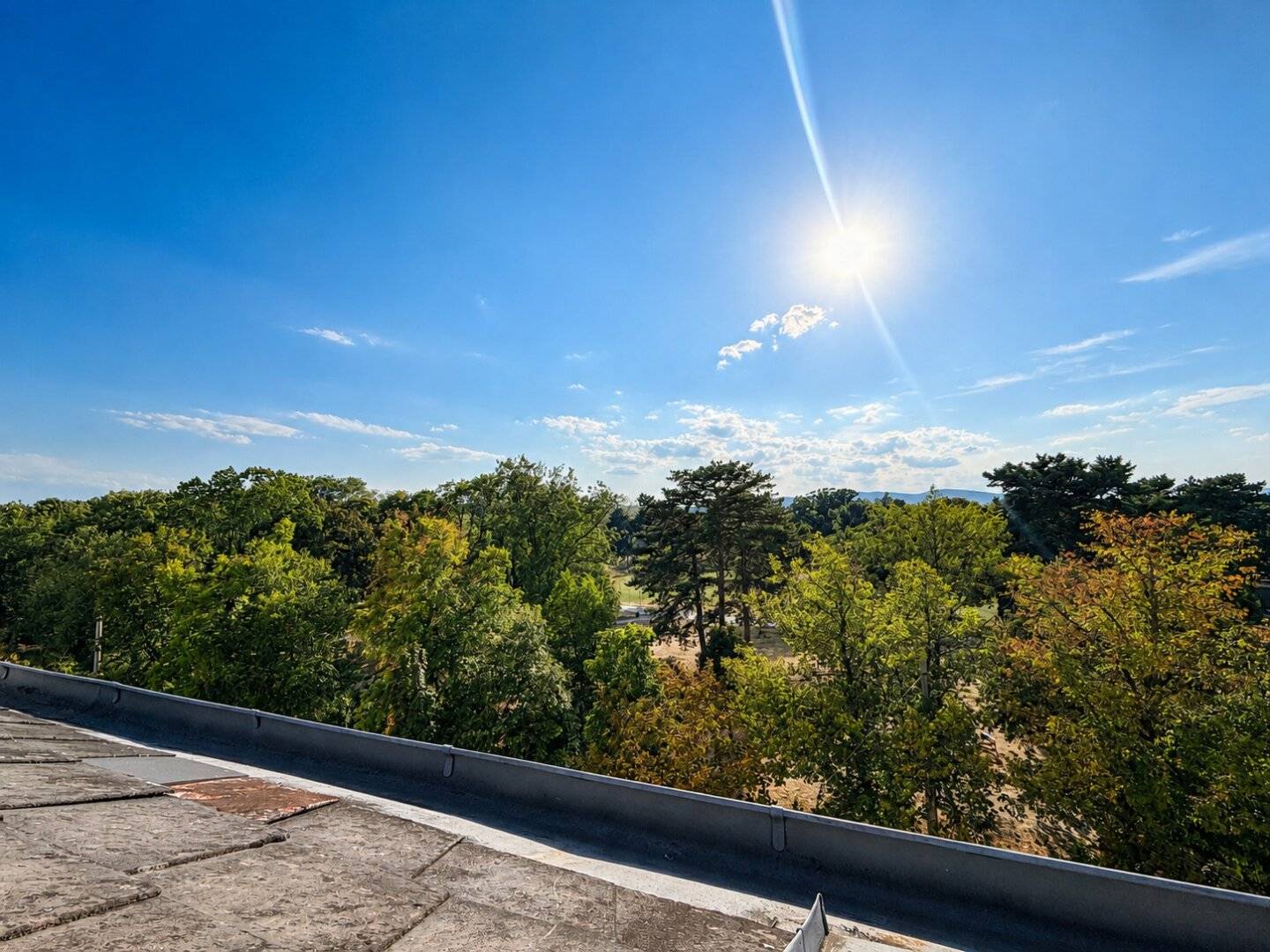 Zinshaus mit Parkblick &amp; großen Dachausbaupotential - Alleinbeauftragt