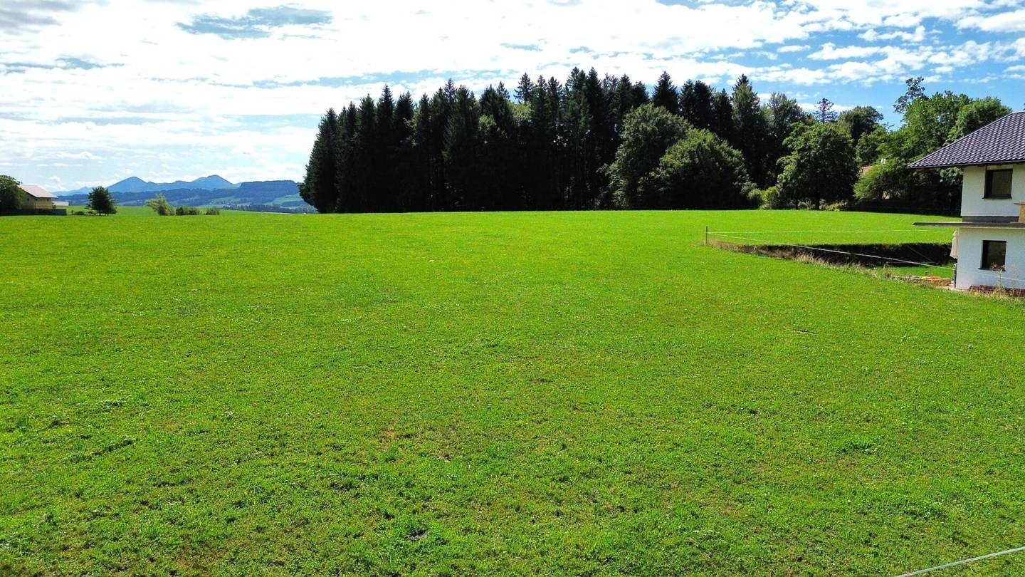 Seekirchen: Großzügiges Grundstück in Grün- und Ruhelage