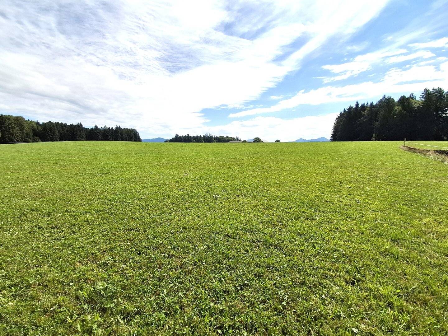 Seekirchen: Großzügiges Grundstück in Grün- und Ruhelage