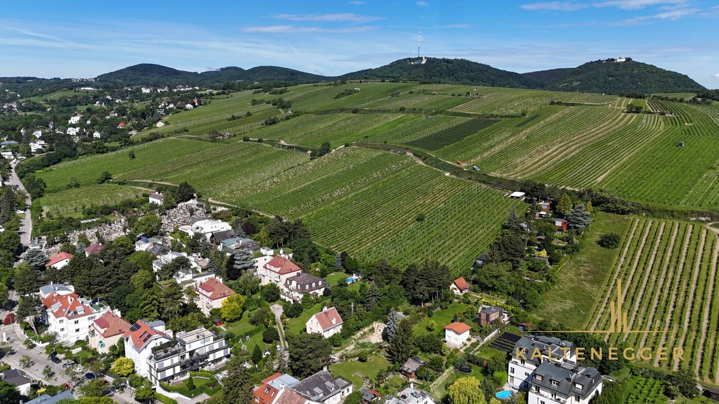 Unique villa location at the foot of the Nussberg, with building permit for new luxury villa with pool and underground garage