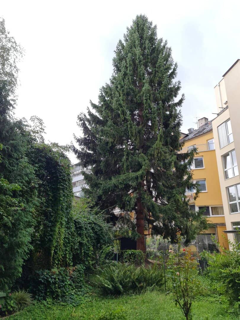 Perfect lots of space for a couple! Beautiful 3-room apartment in an old building in Dreiheiligen