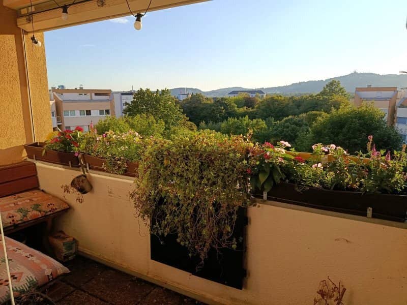 Loggia, super-hell, tolle 3er-WG oder Familienwohnung