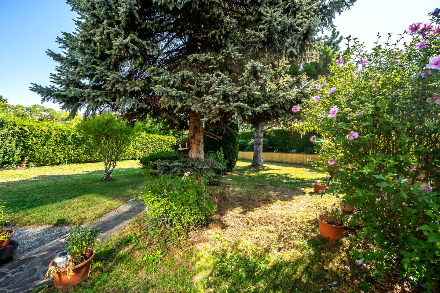 Terraced house with 5 rooms and 670 m² private garden in need of renovation