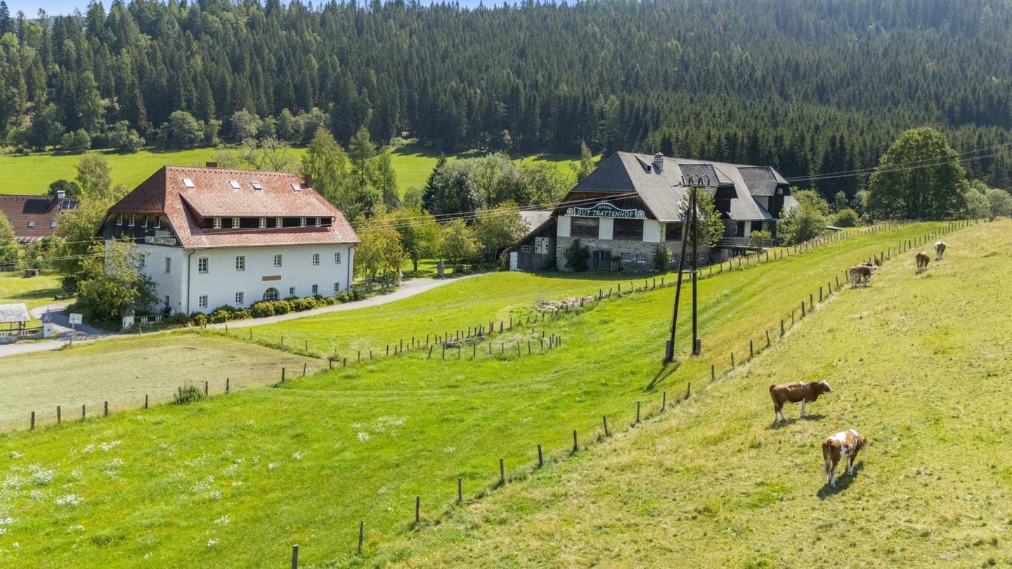 Historisches Gut mit Ferienwohnung und Sauna