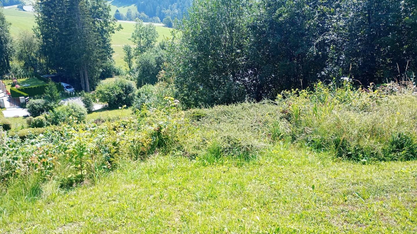 Spacious building plot 3143m² in Steinhaus am Semmering – Your own home awaits!