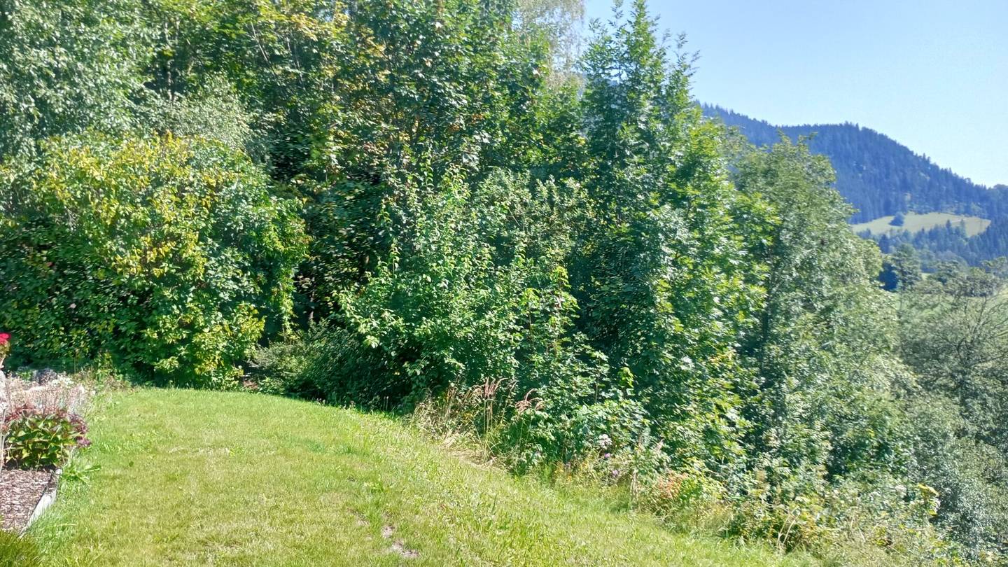 Spacious building plot 3143m² in Steinhaus am Semmering – Your own home awaits!