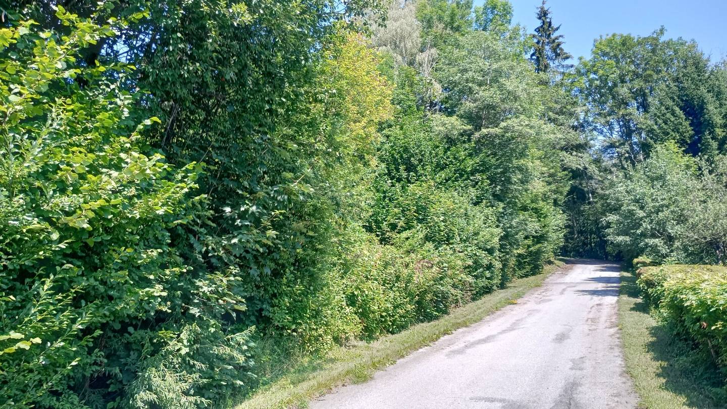Spacious building plot 3143m² in Steinhaus am Semmering – Your own home awaits!