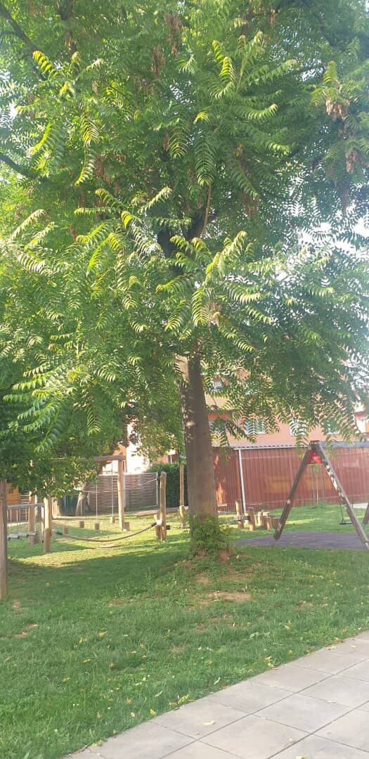 2-room garden apartment in Wetzelsdorf