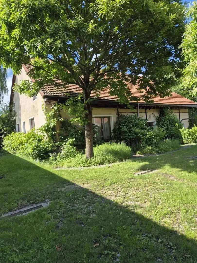 Wohnung with large outbuilding and garden
