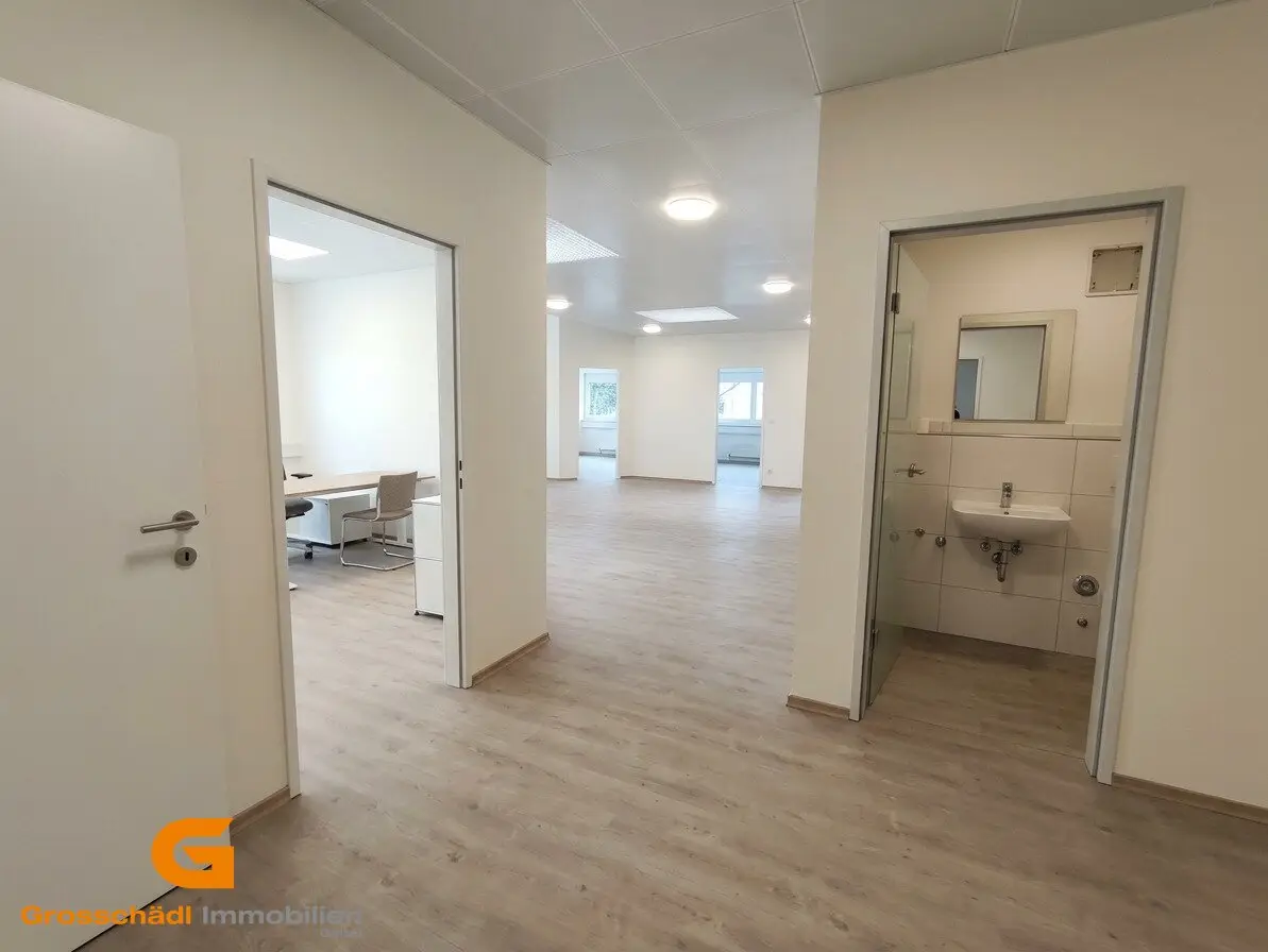 First occupancy - Modernized office spaces for rent in a conveniently located area in Wals-Siezenheim