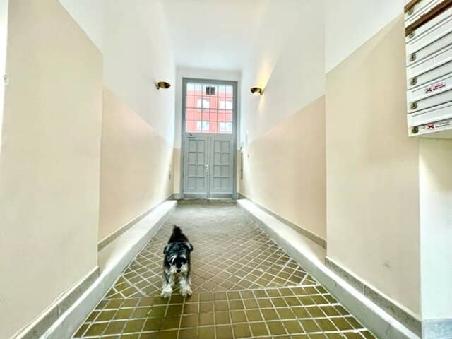 MIETWOHNUNG - Herrliche 3-Zimmer AltbauWohnung -SANIERT! - Nähe Quellenstraße-Hauptbahnhof!