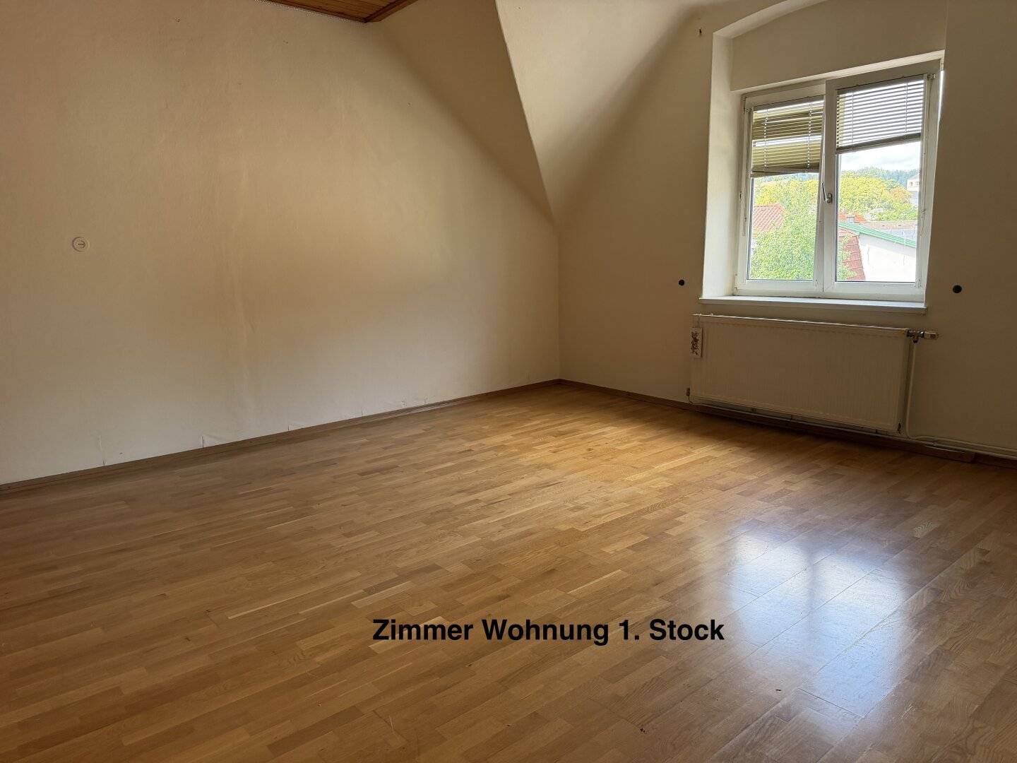 Package consisting of 2 apartments + basement premises + ancillary rooms (approx. 177m² usable area) and 141m² private garden - in need of renovation