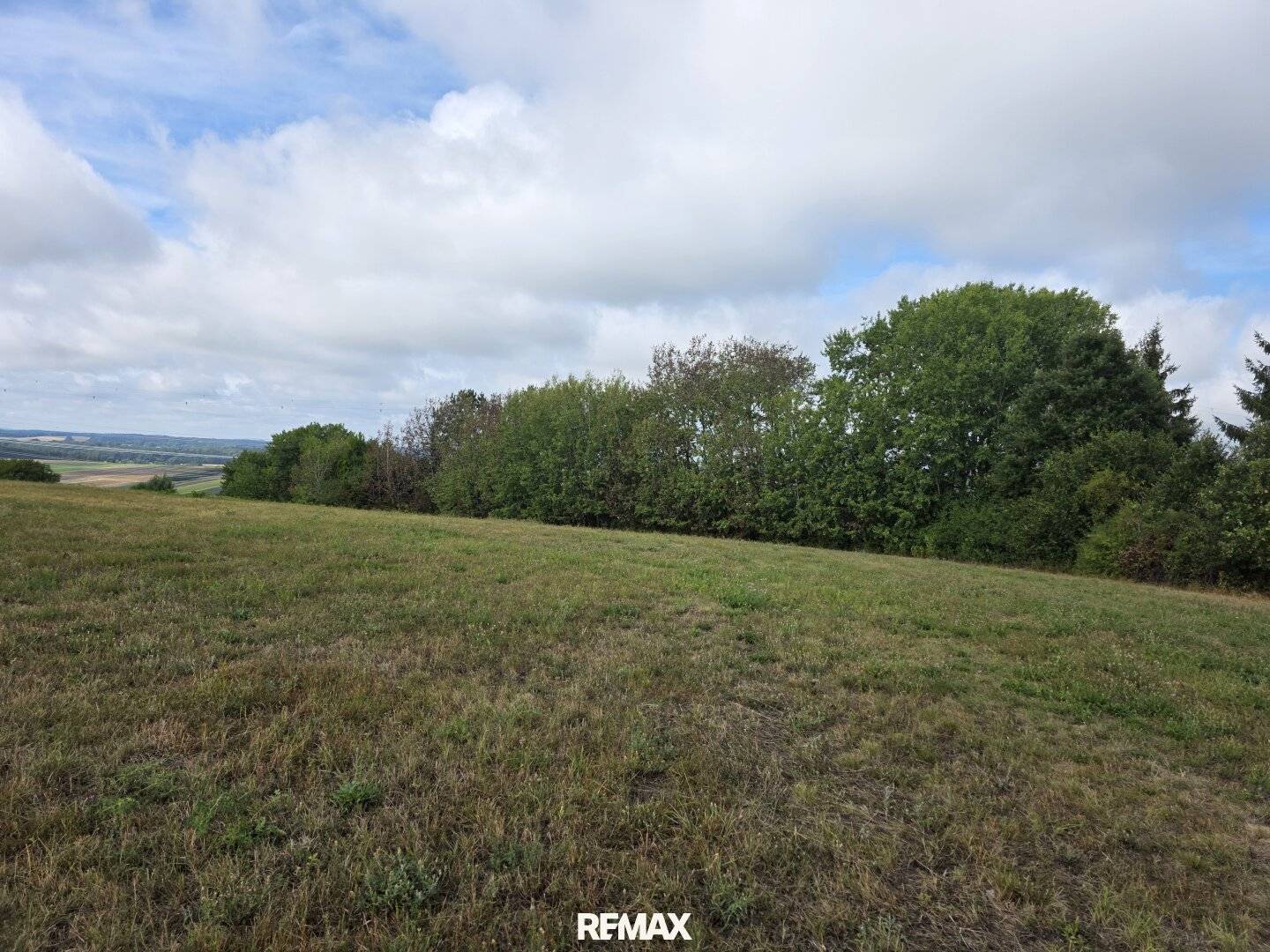 Landwirtschaftliche Grundstücke samt Wald in Stadtschlaining