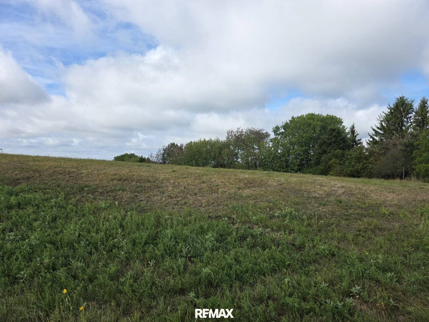 Landwirtschaftliche Grundstücke samt Wald in Stadtschlaining