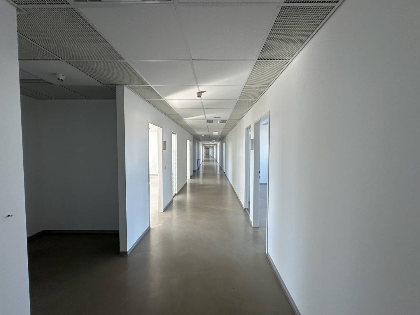 Helle Loftwohnung am Donaukanal mit großem Innenhof
