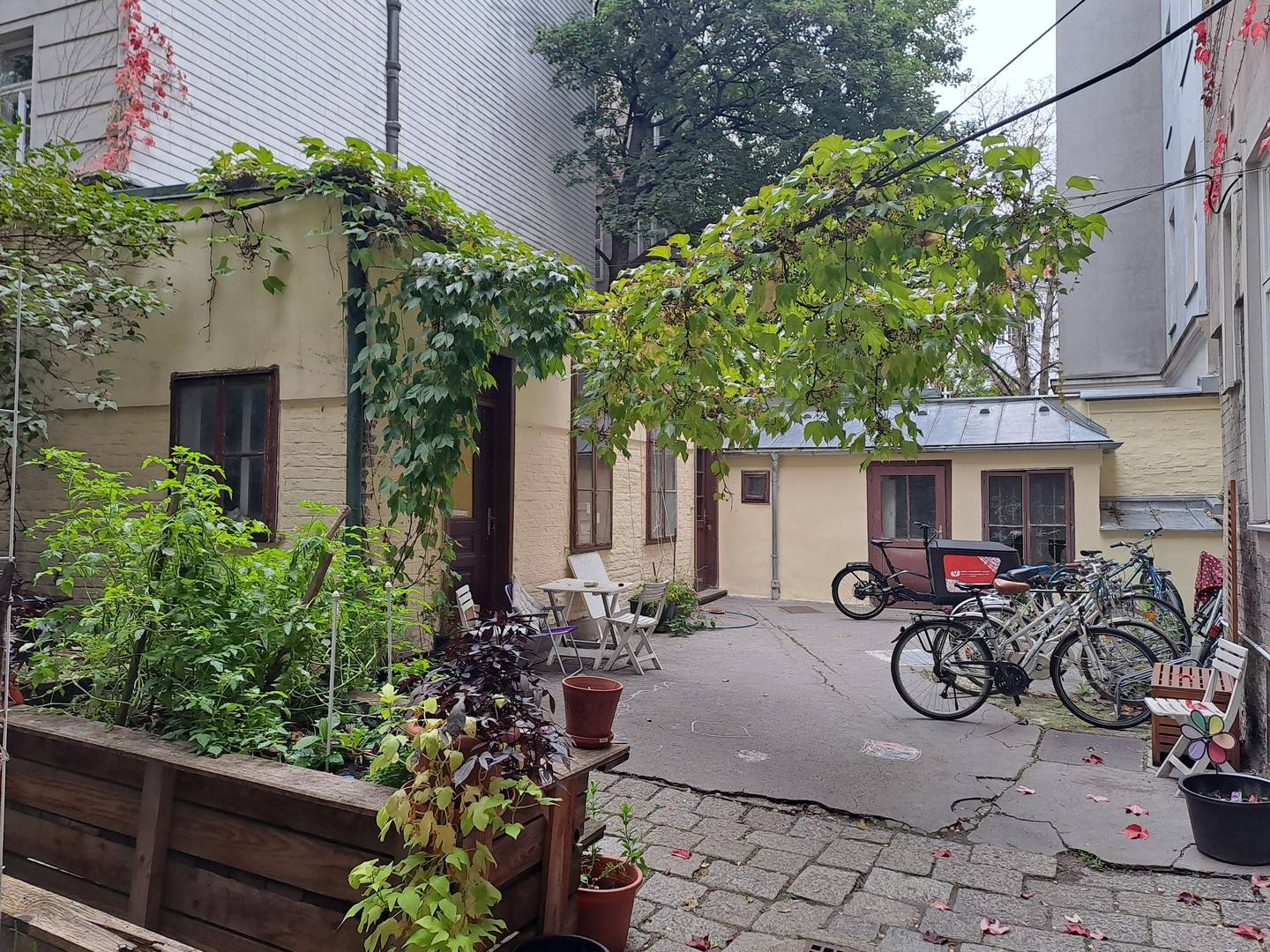 Altbauwohnung ruhig gelegen mit Gemeinschaftsgarten