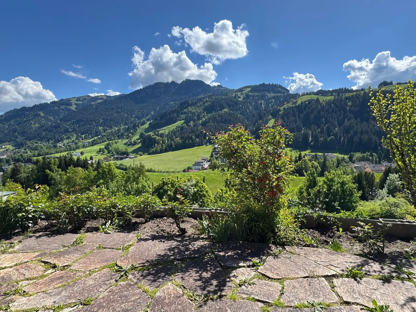 Sonnige Familienwohnung mit großem Privatgarten und Garage