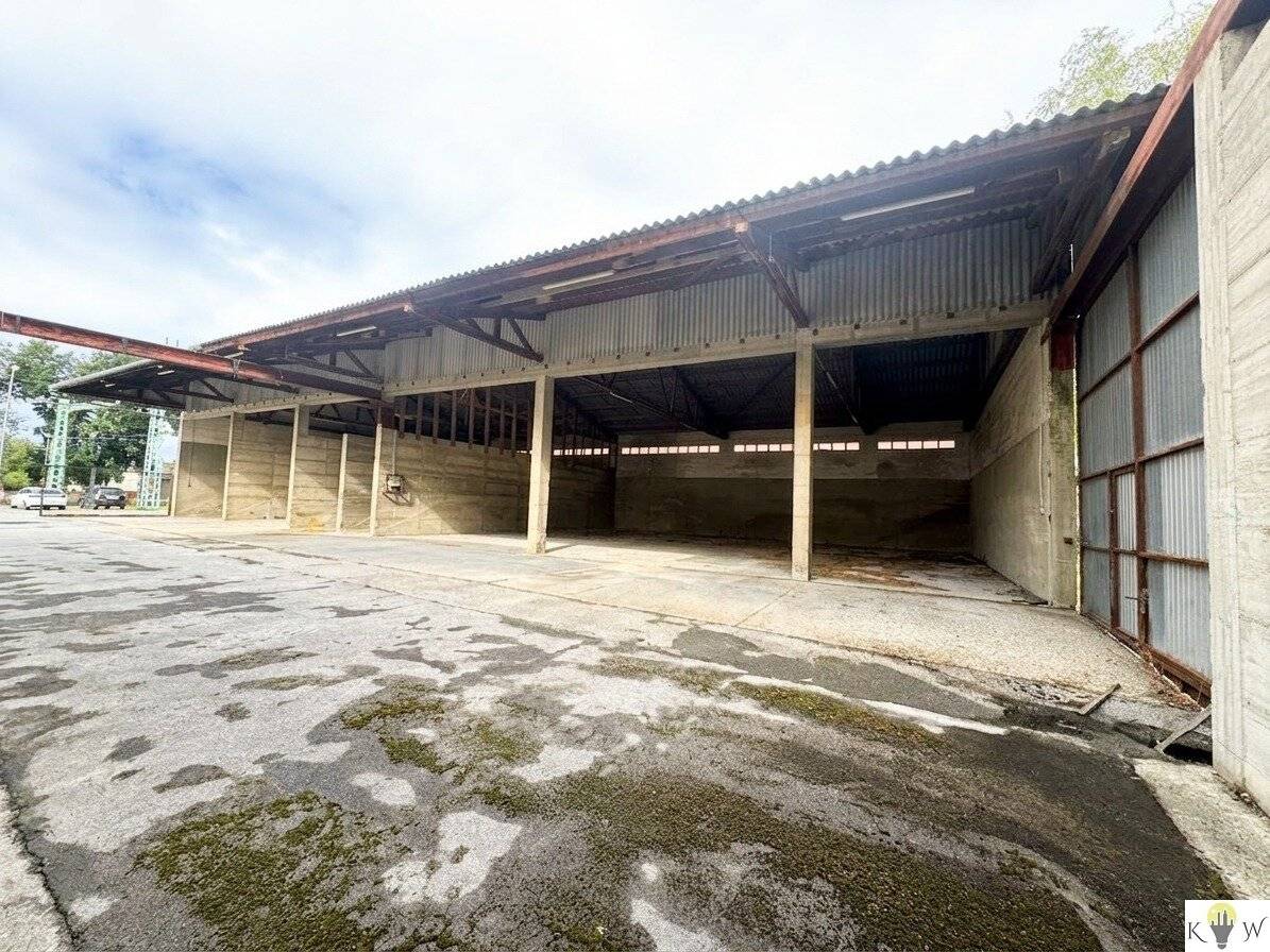 Large commercial plot with storage halls silos and versatile potential in Mönchhof