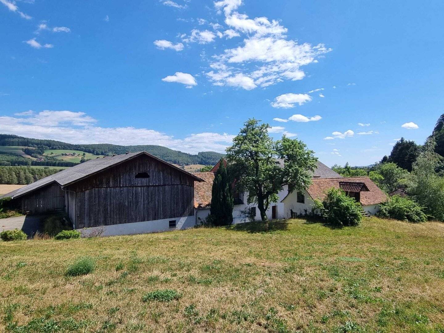 ESTATE SALE - agricultural property in need of renovation with approx. 31 hectares (309.467 m²), multifamily house &amp; private chapel in 8225 Pöllau
