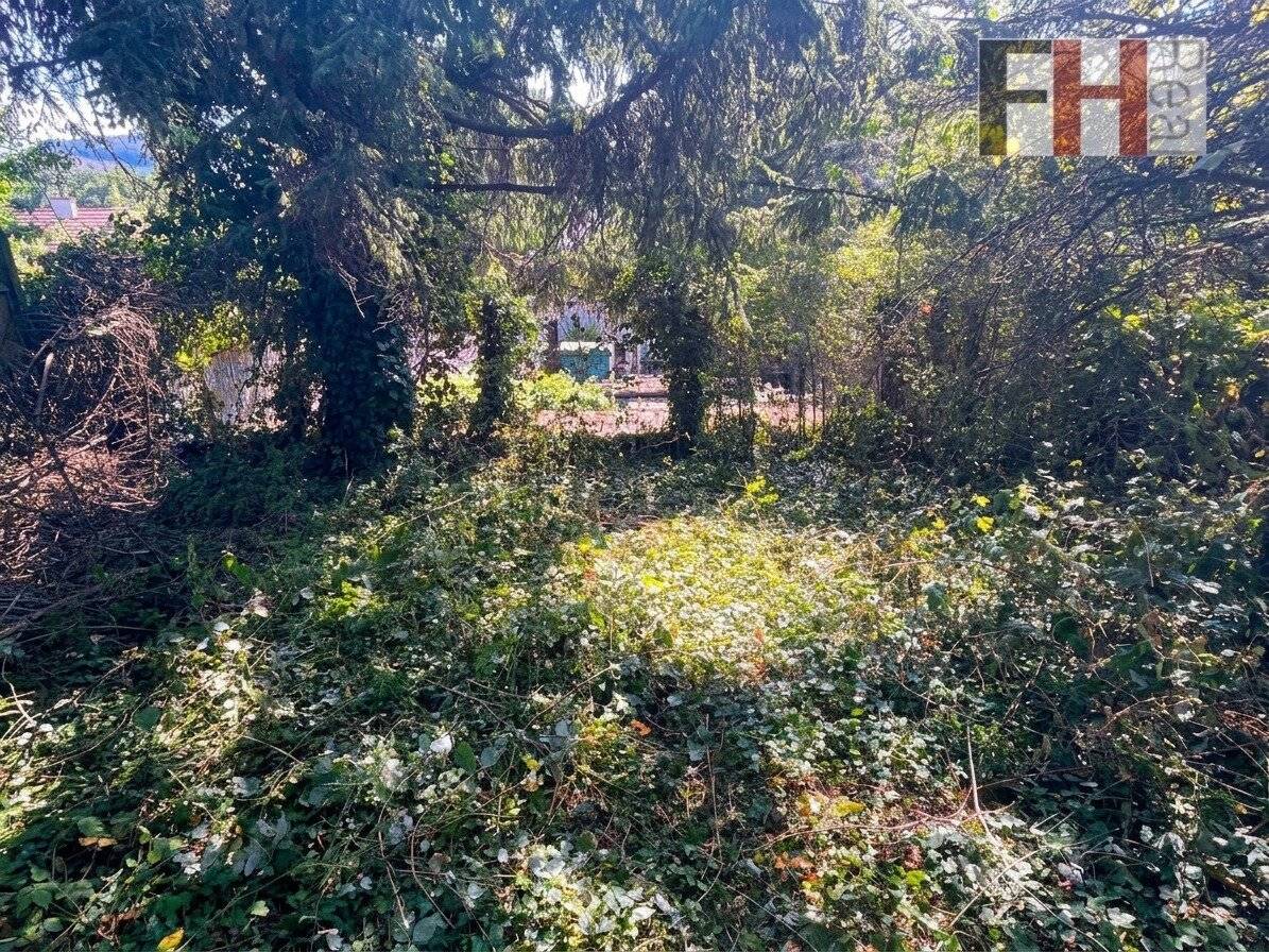 Sonniger Baugrund mit Altbestand in begehrter Lage am Wolfersberg in 1140 Wien