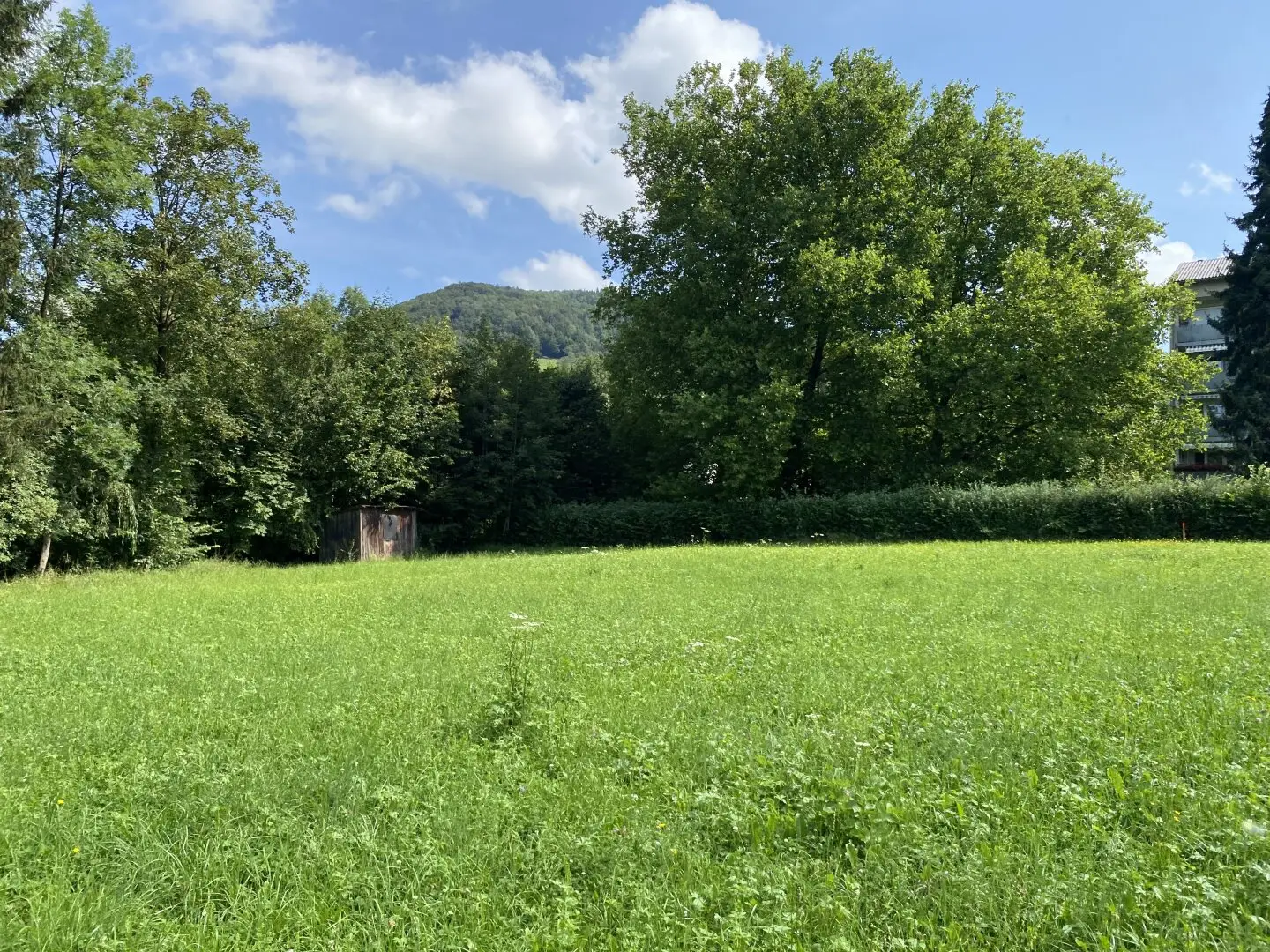 Immobilienbild 3