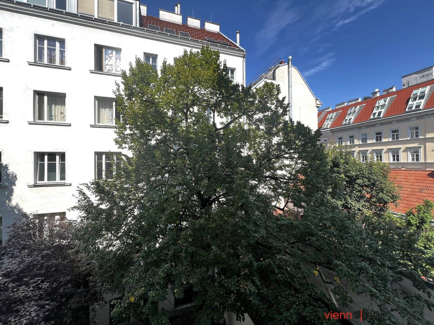 Immobilienbild 4