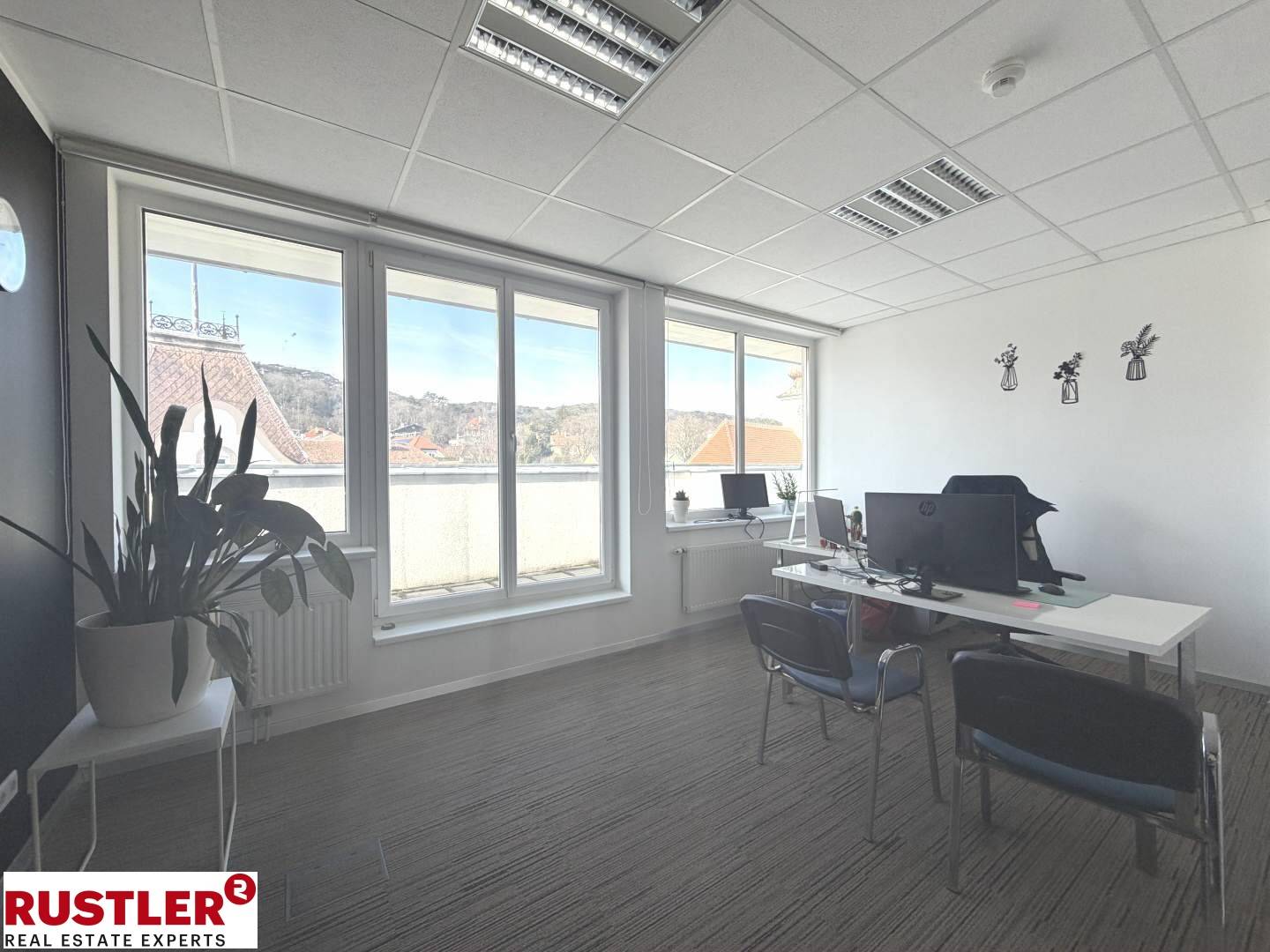 Lichtdurchflutete Dachgeschosswohnung mit großer Terrasse und Rundumblick