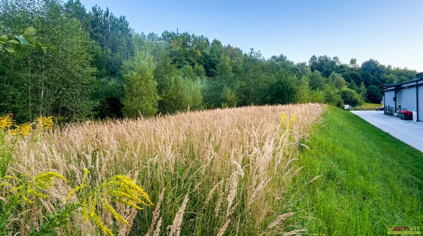 Commercial plot in Mürzzuschlag/Hönigsberg-Ost