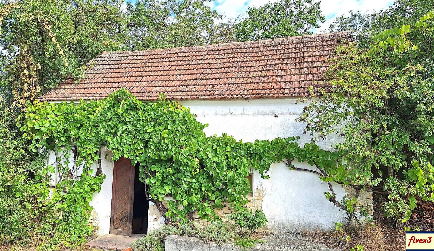 Wine cellar and orchard in absolute quiet location near Großweikersdorf in the Weinviertel for sale