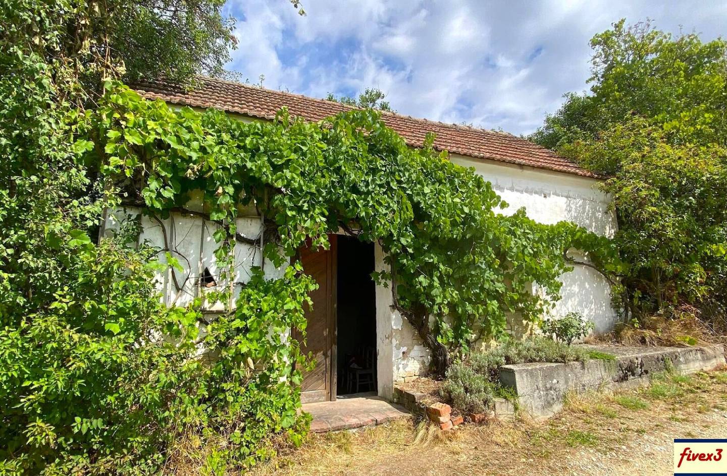 Wine cellar and orchard in absolute quiet location near Großweikersdorf in the Weinviertel for sale