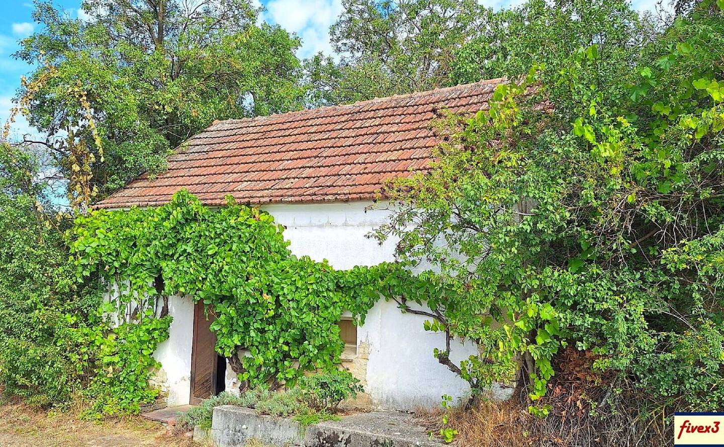 Wine cellar and orchard in absolute quiet location near Großweikersdorf in the Weinviertel for sale