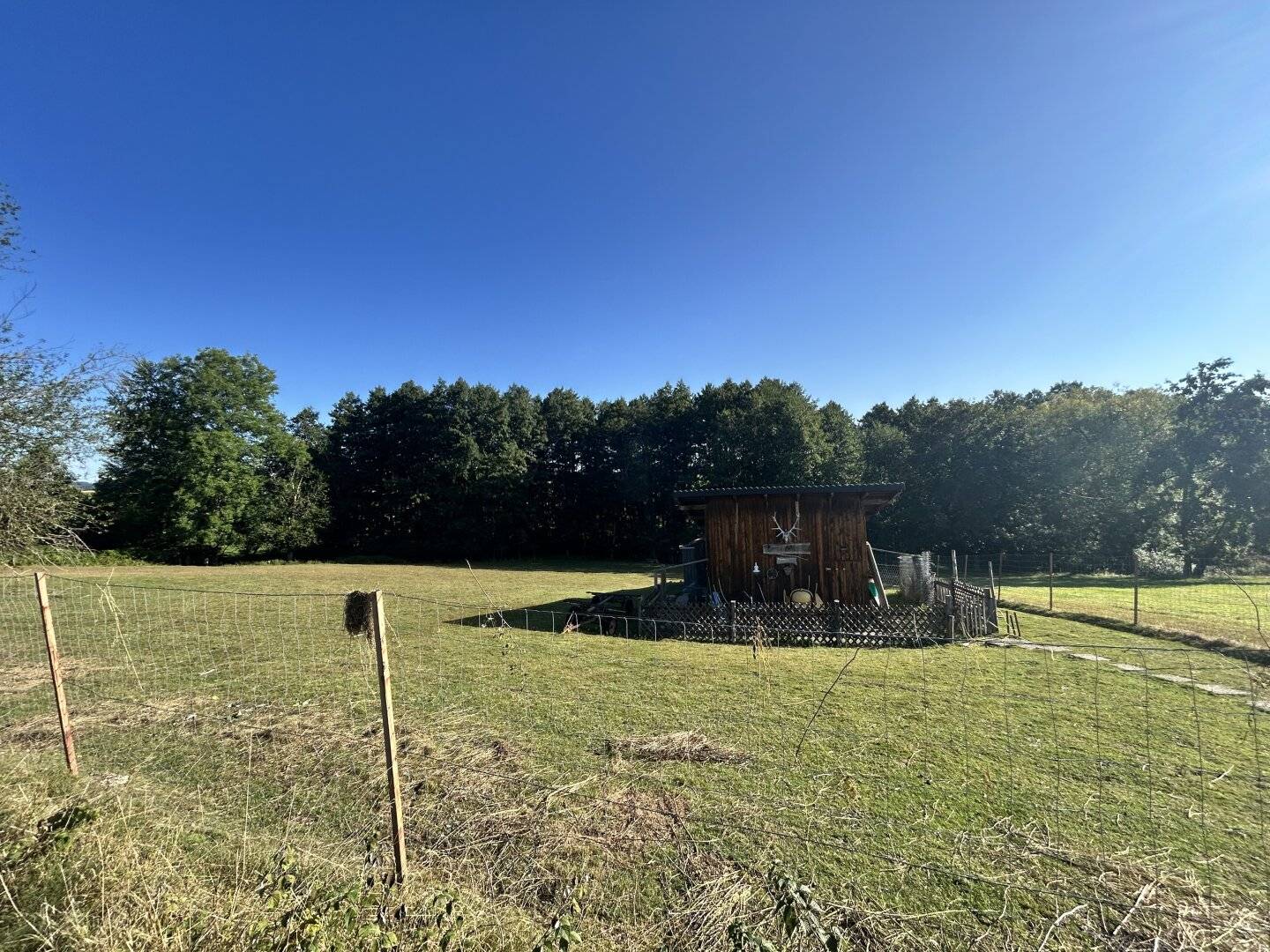 Spacious Game Reserve, Fish Pond with Water Rights approx. 6476 m² in Kirchstetten, well maintained and versatile